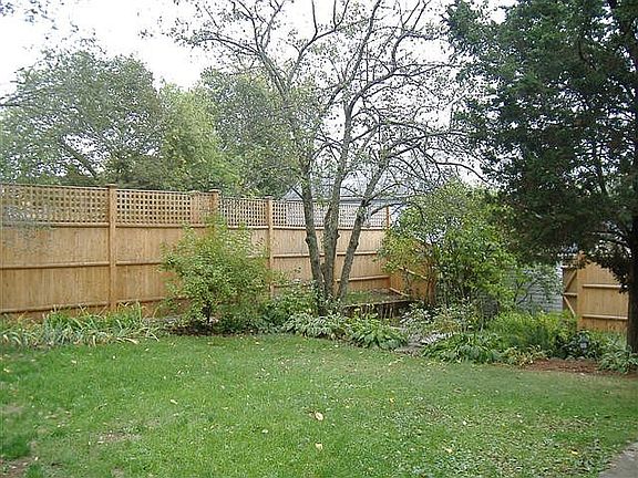 Backyard 3