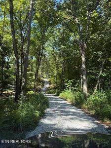 11150 Blackberry Forest Way Lot 2R1, Knoxville, TN, 37931