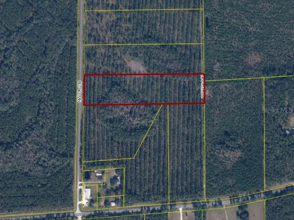 NW COUNTY RD 239, LAKE BUTLER, FL 32054