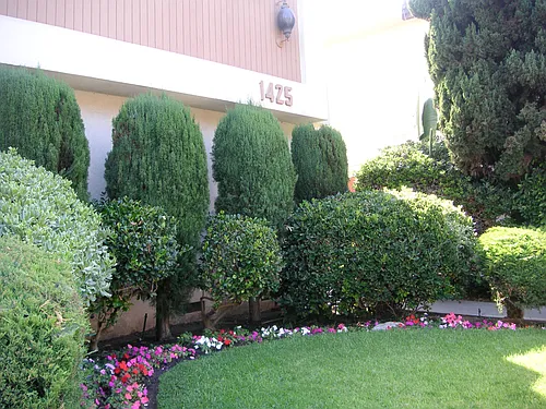 1425 S Bundy Dr #10 Photo 1