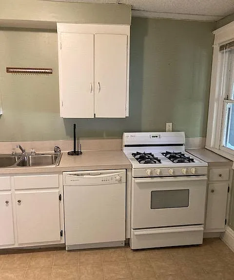 Kitchen with dishwasher, Gas Stove/oven