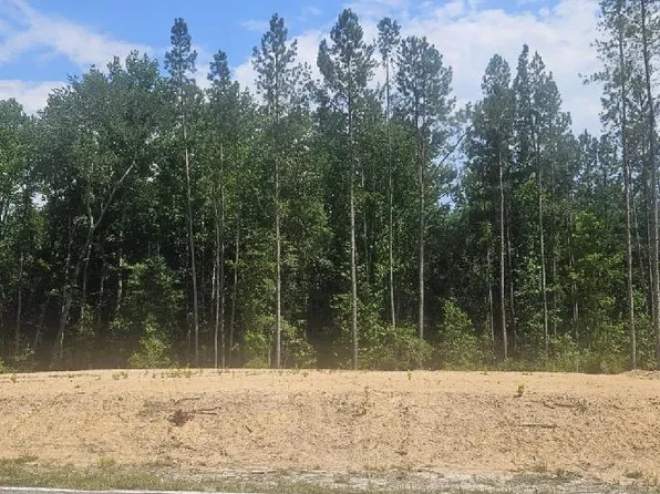 Lot 1 County Line Road, Mitchell, GA