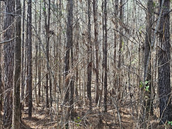 0 Highway 13 N, Eldridge, AL 35554