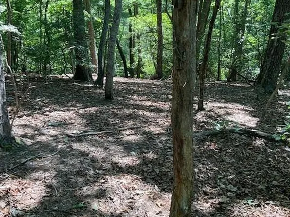 616 Wake Robin Dr, Jasper, GA 30143