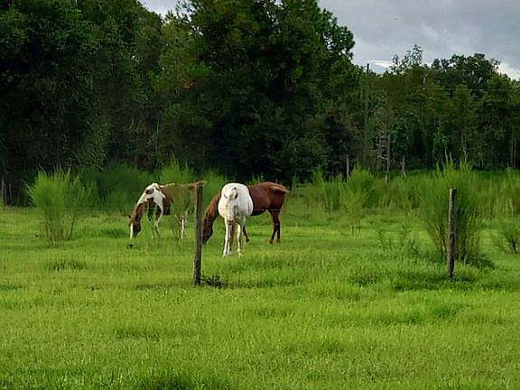 5th image of 956 State Road 26