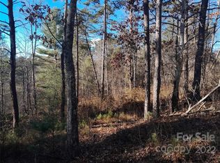 2176 Bear Creek Rd, Leicester, NC 28748
