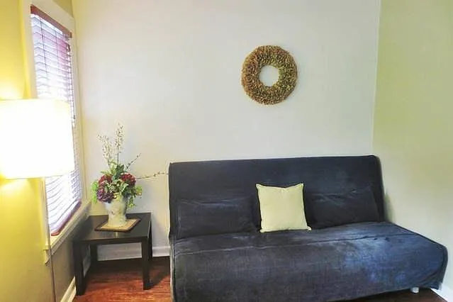 The sofa couch.