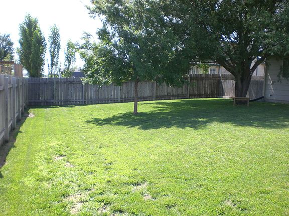 Backyard2
