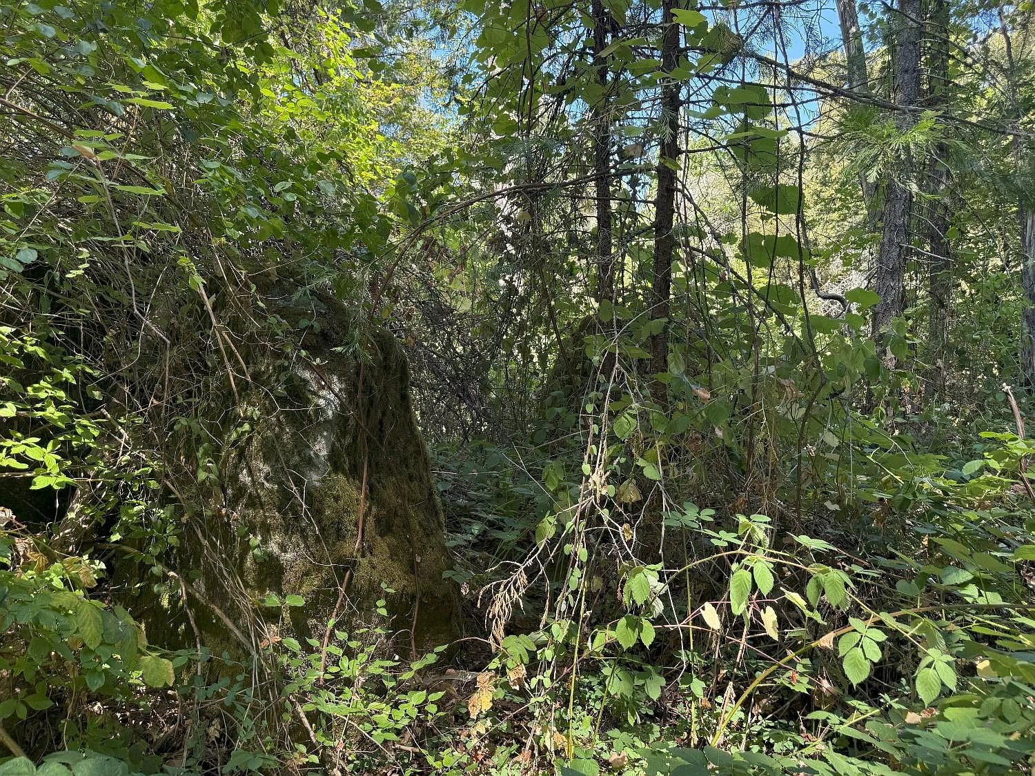 14742 Boquest Dr photo 1