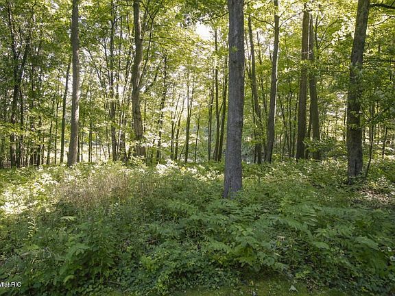 20160902193306850065000000-o