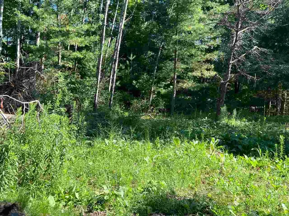 544 Peffer St, Harbor Springs, MI 49740