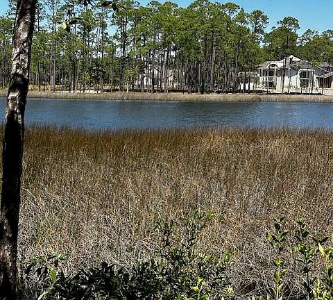 2nd image of 22114 Marsh Rabbit Run