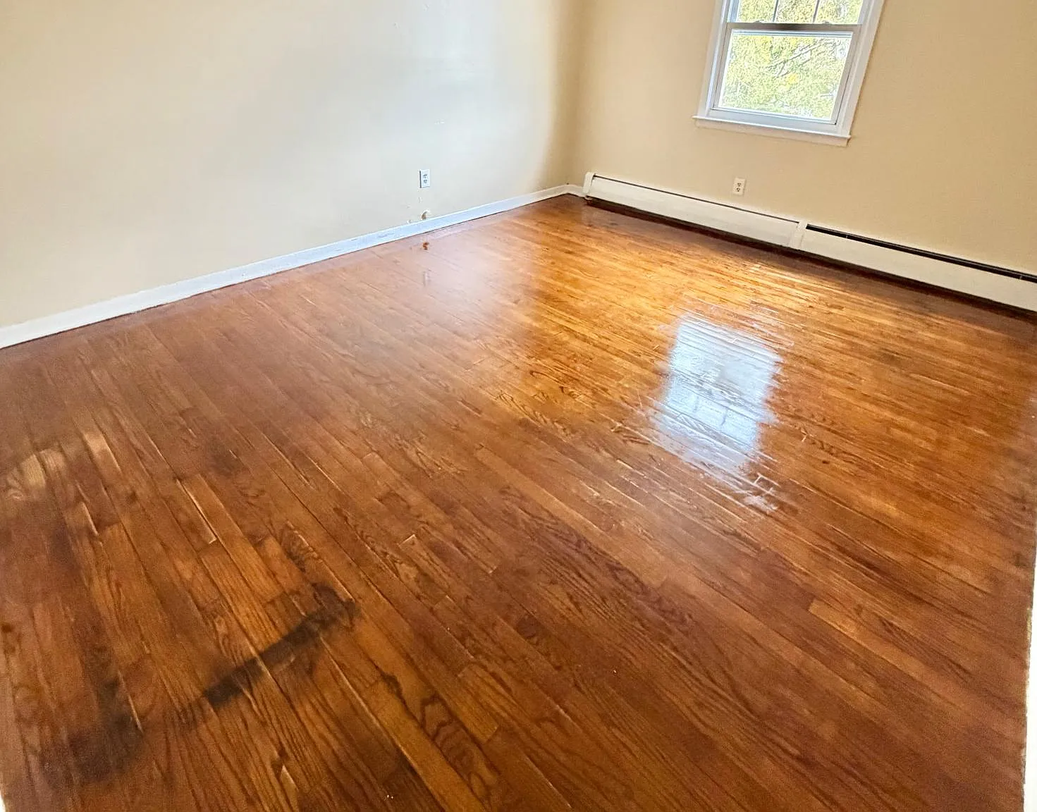 2 bed, 750 sqft, $1,750 — Photo 3