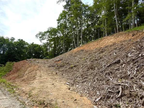 0 Fox Den Rd #109, Mars Hill, NC 28754