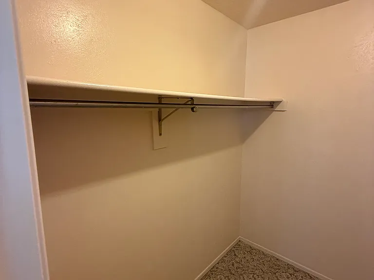 Master Walk-in Closet 1
