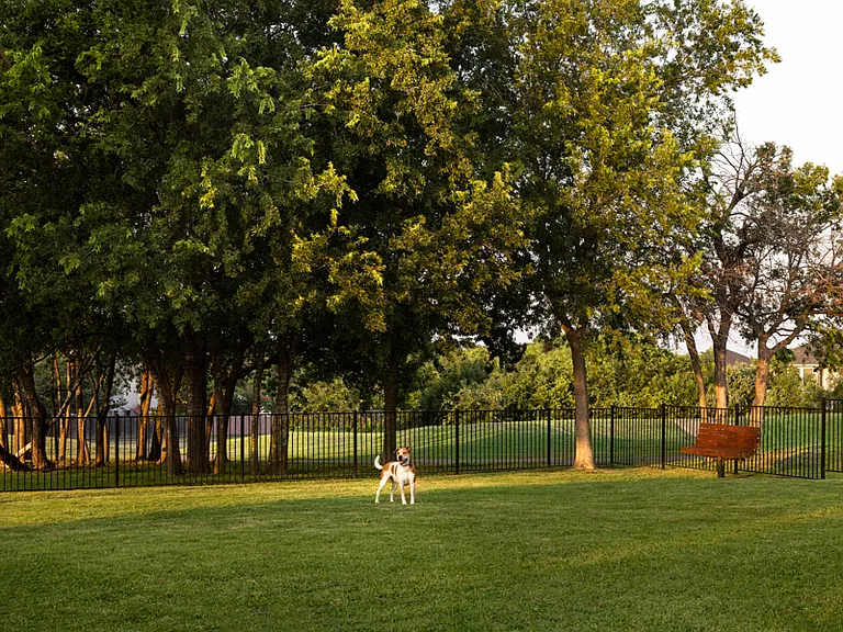 Pet-friendly community with dog park