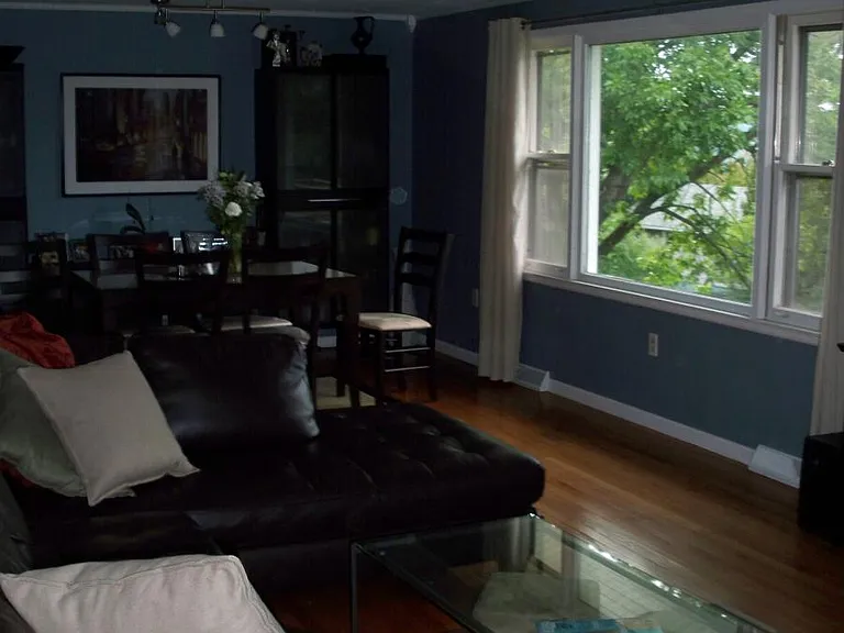 Living/Dining area