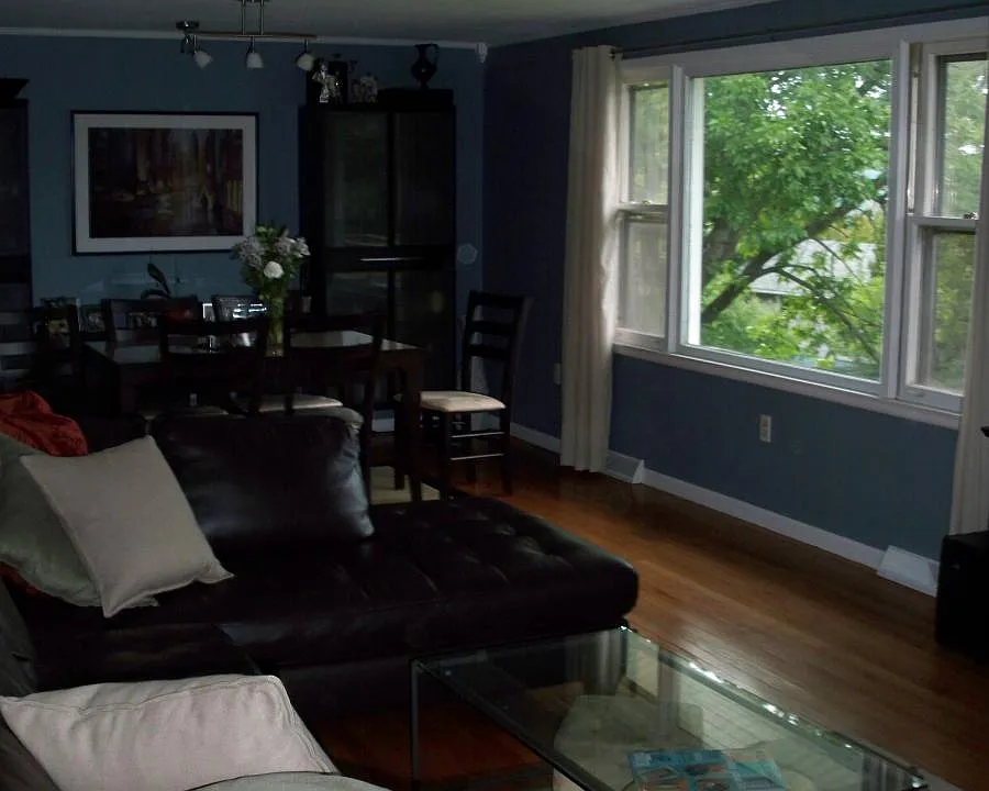 Living/Dining area