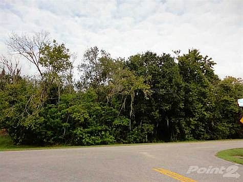 4th image of 7911 N Leewynn Dr