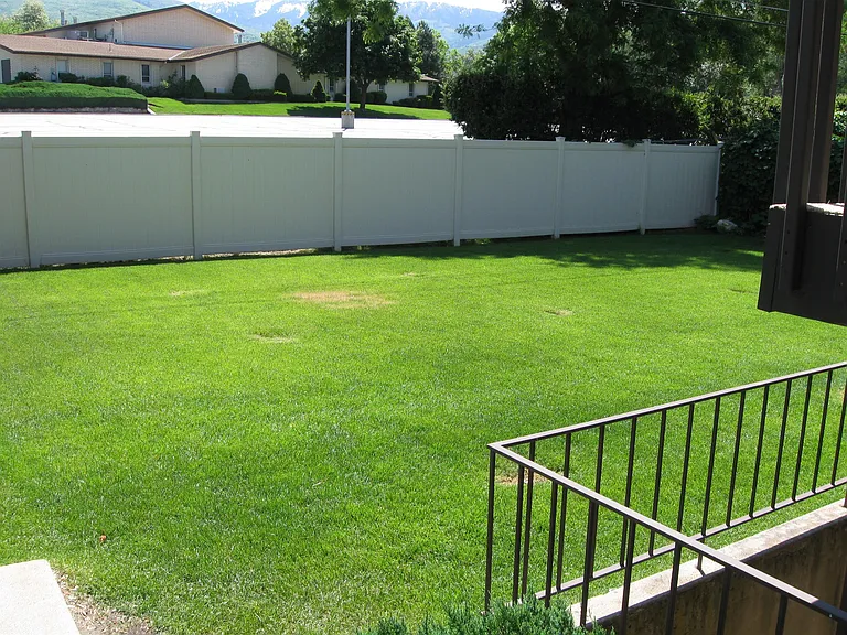Fenced back yard