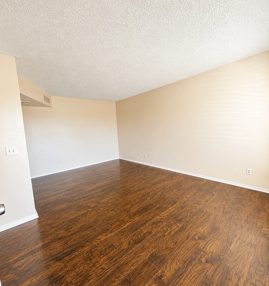 45 Phyllis — Photo 3