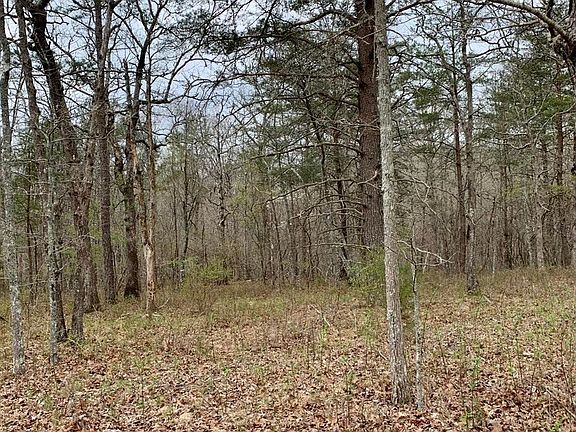 3rd image of 198 Buck Cir