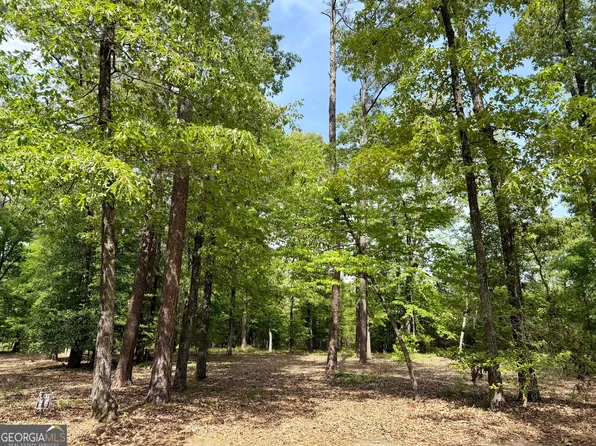 0 Deer Creek Trl Lot 6, Dublin, GA 31021