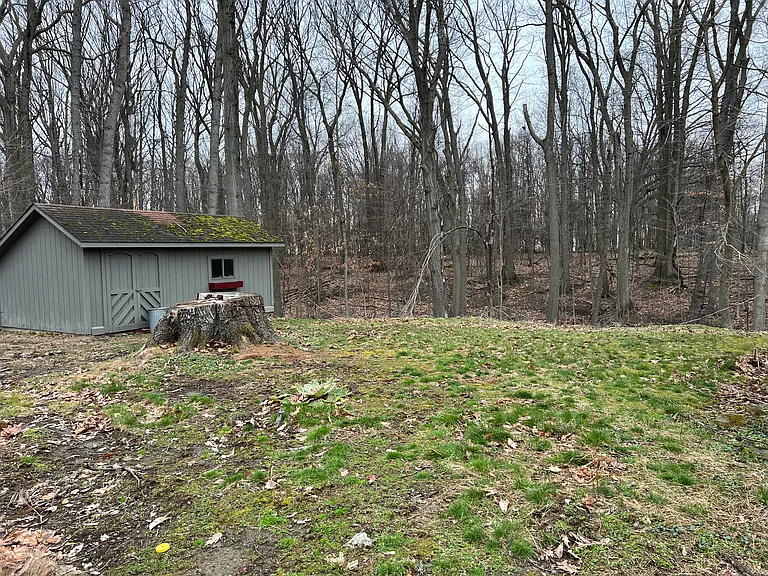 158 Richmond Rd — Photo 21