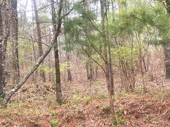 Blackjack Rd #8, Trussville, AL 35173