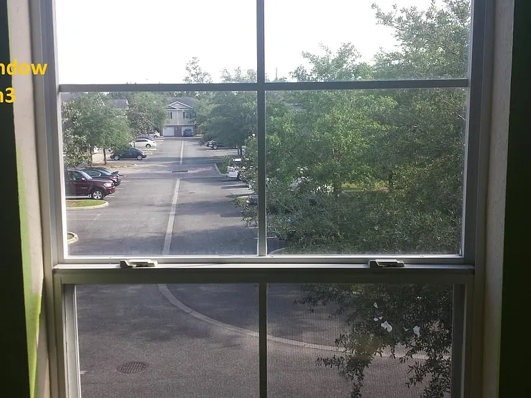 3rd bedroom view (1 of 2 windows)