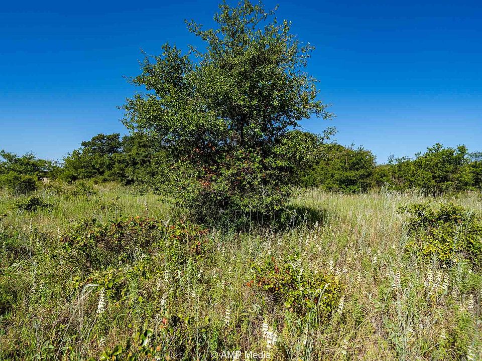 1st image of 9999 County Road 240