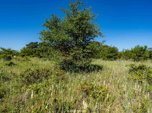 9999 County Road 240, Rising Star, TX 76471