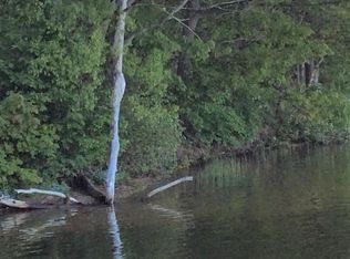 W Cedar Lake Rd, Greenbush, MI 48738