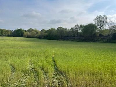 1 Jonesville Hwy, Union, SC, 29379