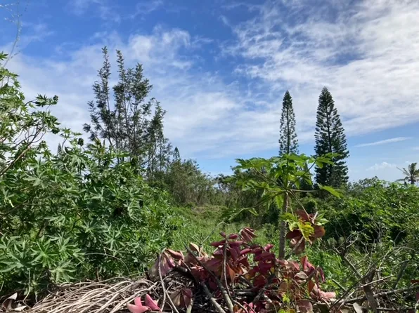 Kaulua Cir Lot 58, Naalehu, HI 96772