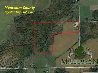 464 S Waldron Rd, Crystal, MI 48818