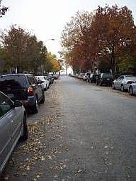 5th image of 298 Bay 19th St