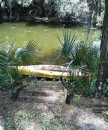 5th image of 253 Osprey Ln