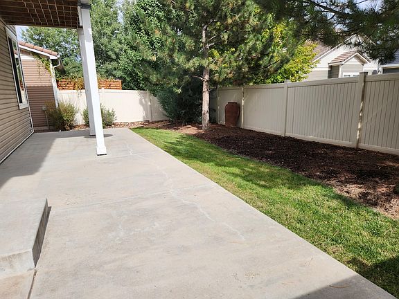 Back yard