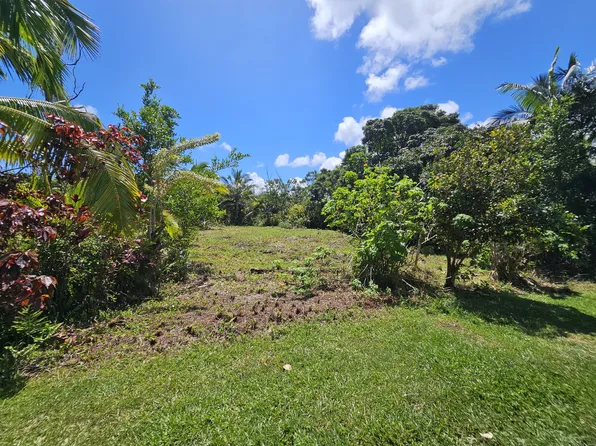 15-741 Puni Mauka Loop S Lot 206, Pahoa, HI 96778