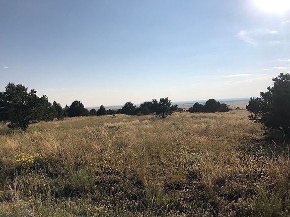 View to the West