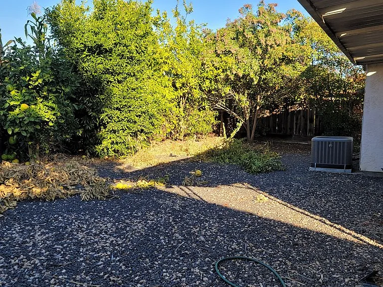 1031 Fallbrook Dr — Photo 21