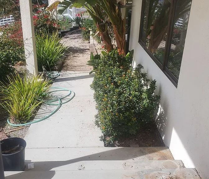 Parado Del Sol Dr — Photo 10
