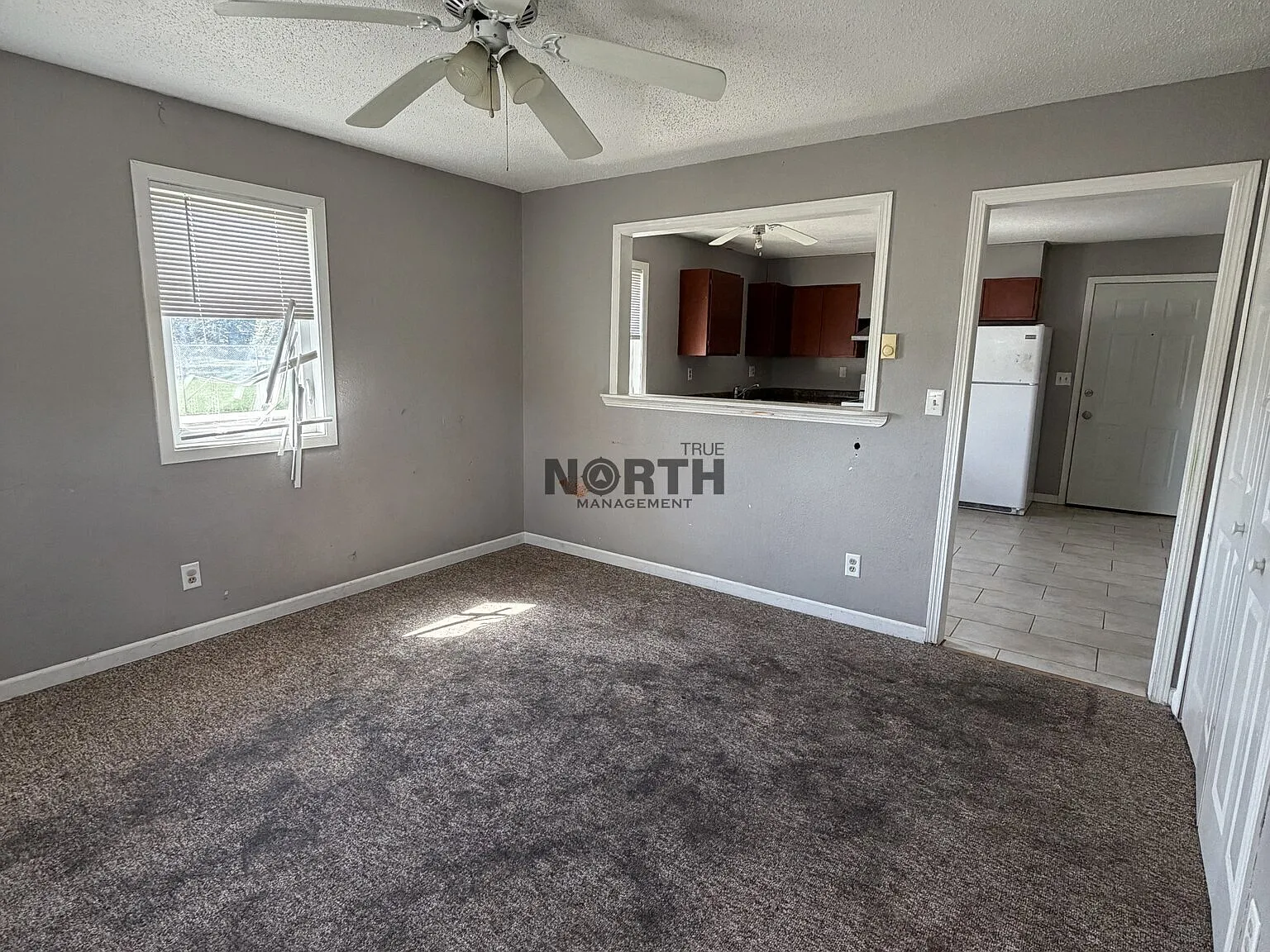3 bed, $950 — Photo 4