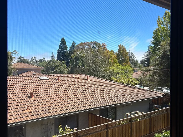 136 Peach Ter — Photo 7