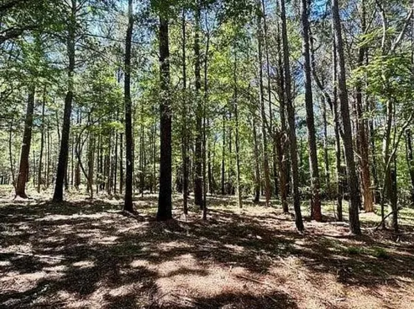 1 Robinson Rd #1, Canton, MS 39046