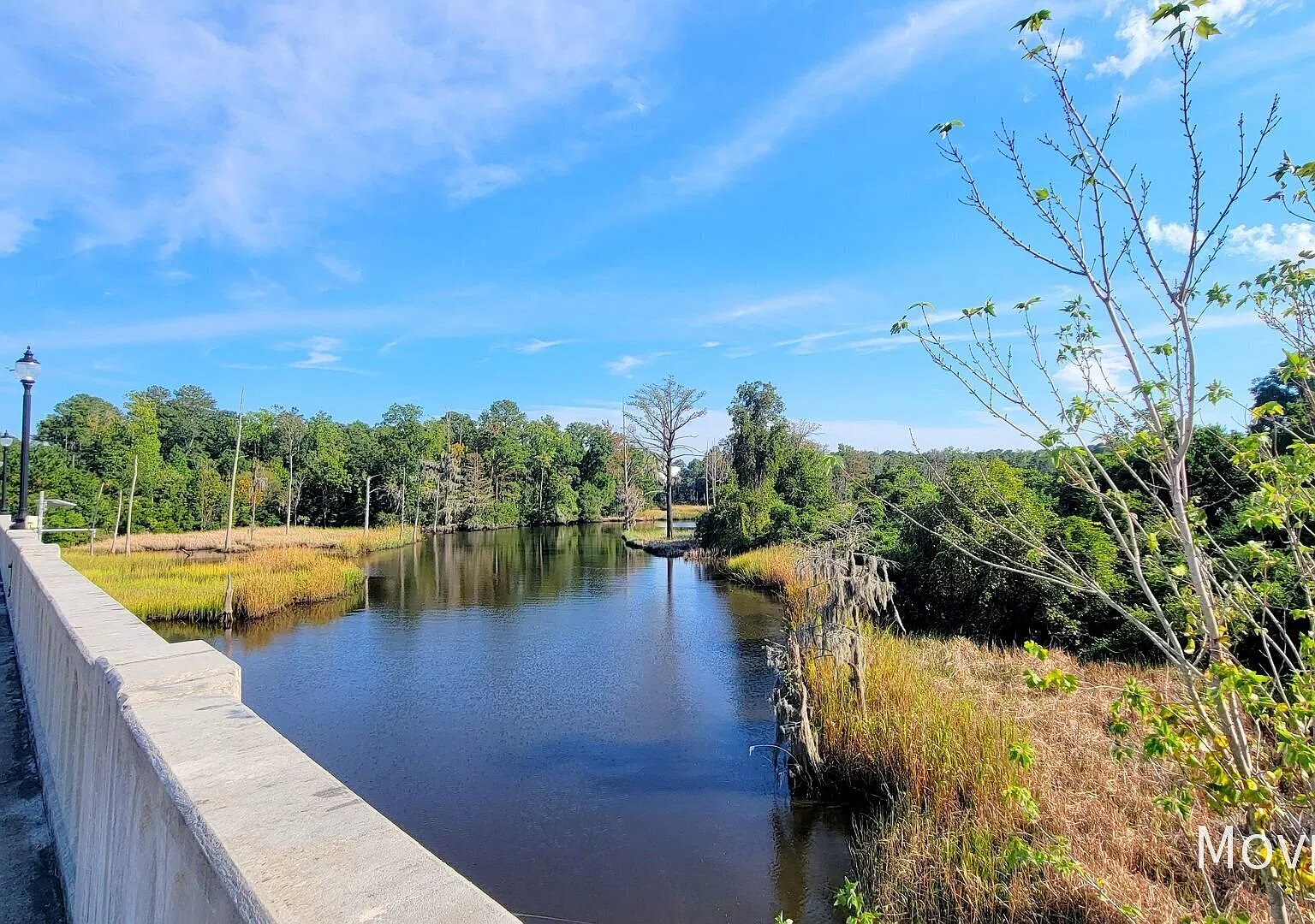 1641 King St Wilmington, NC 28401 Great Home in Convenient Location — Photo 3