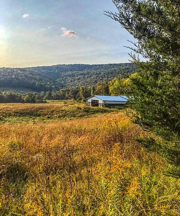 1st image of 5421 Little Crab Rd