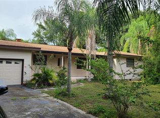 202 Watkins Way, Brandon, FL 33510