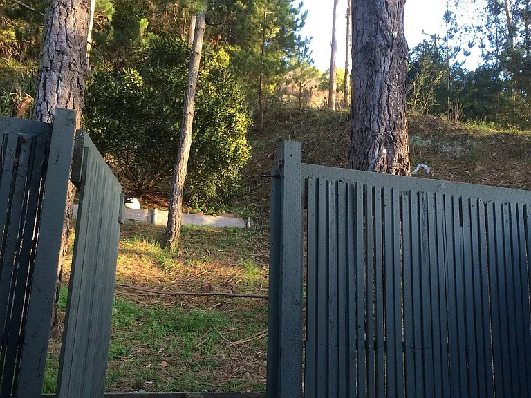 Terra Nova Blvd — Photo 8